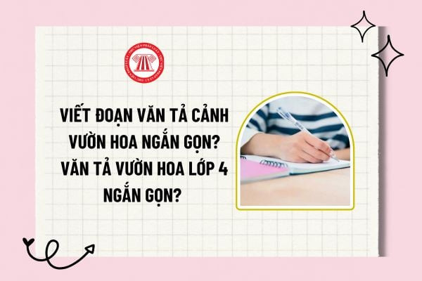 Vườn hoa rực rỡ sắc màu, cảnh đẹp tự nhiên cho đoạn văn tả vườn hoa sống động