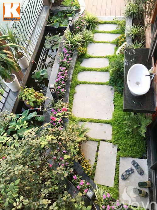 Vườn hoa sân thượng rực rỡ sắc màu gần Hồ Tây, nơi hòa mình vào thiên nhiên tươi đẹp.