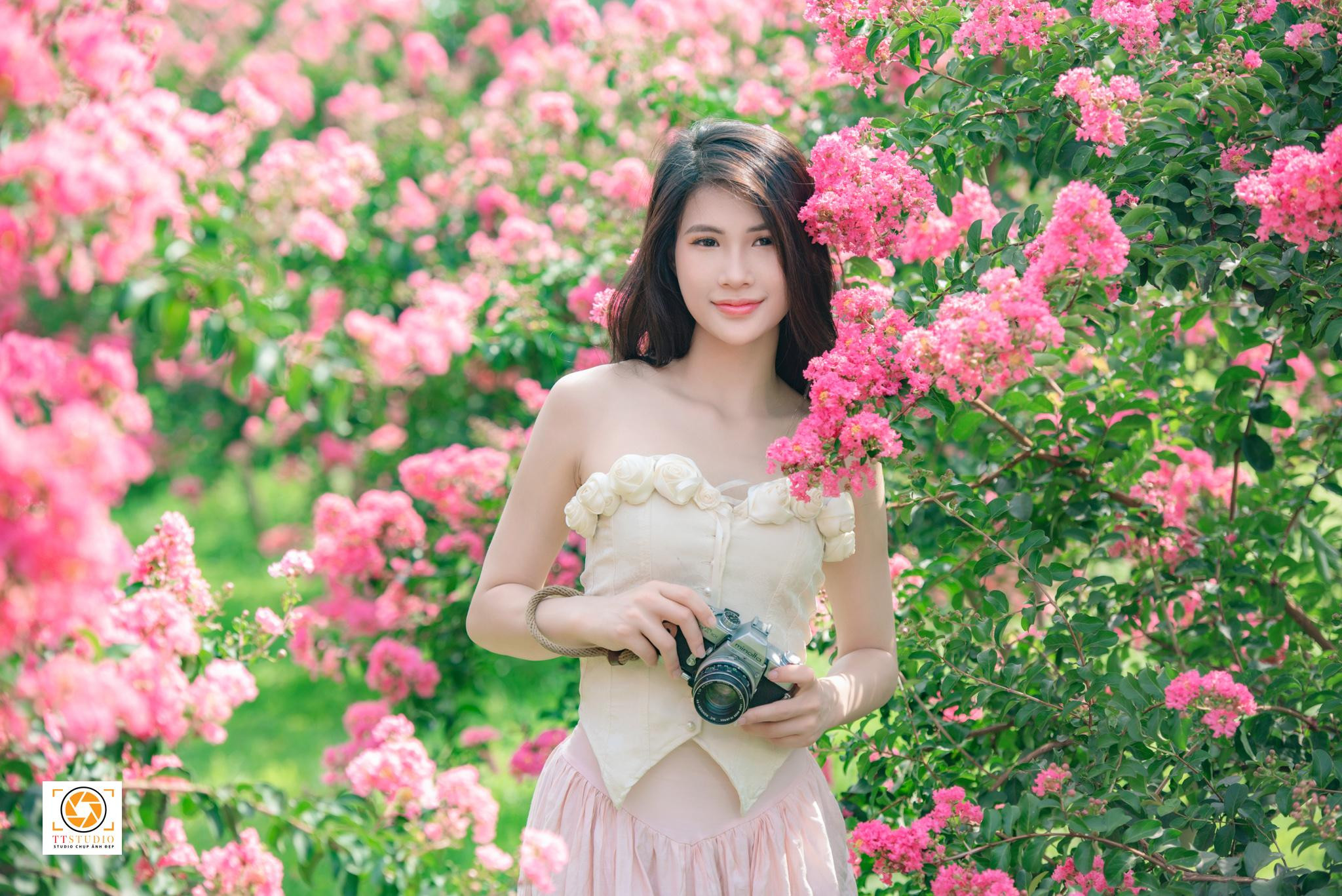 Vườn hoa tường vi Đông Anh với những lối đi ngập tràn sắc hoa tím hồng