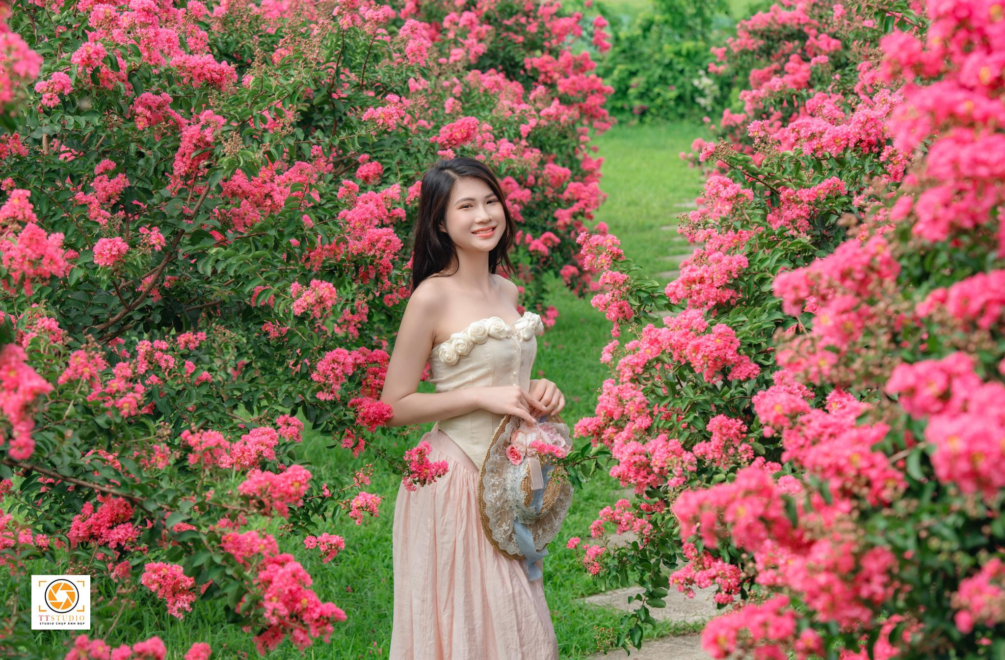 Vườn hoa tường vi Hà Nội với khung cảnh lãng mạn, lý tưởng để chụp ảnh