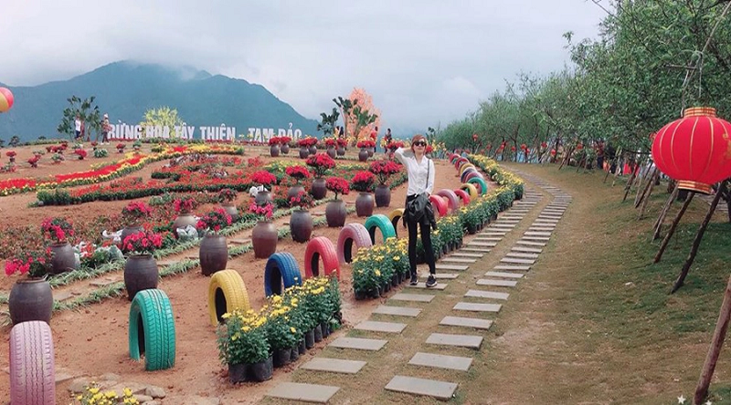 Cung đường uốn lượn dẫn lối đến vườn hoa Tây Thiên Tam Đảo bình yên