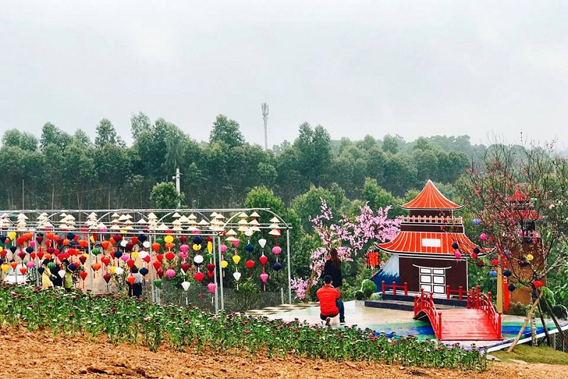 Khung cảnh thiên nhiên hữu tình trên đường đến vườn hoa Tây Thiên Tam Đảo
