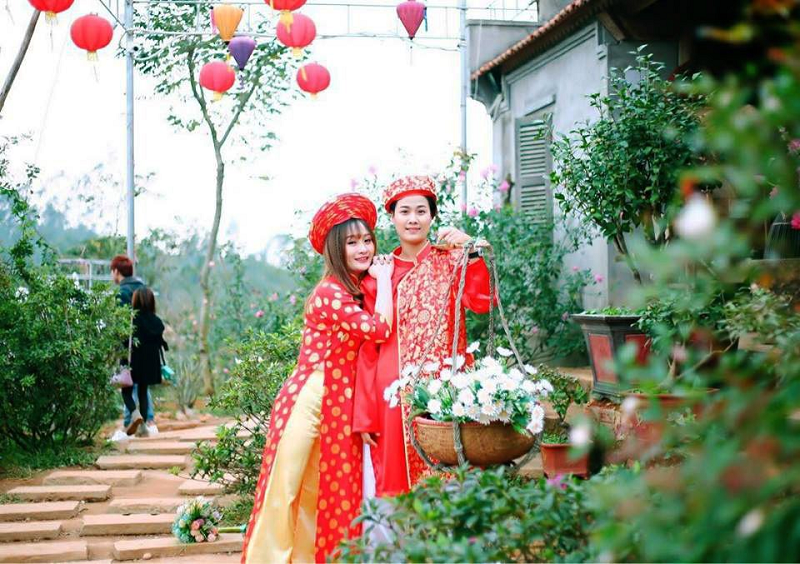 Lối đi ngập tràn hoa khoe sắc trong vườn hoa Tây Thiên Tam Đảo