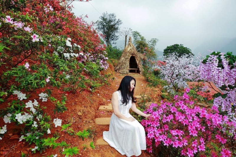 Cổng vào trang trí tinh tế của vườn hoa Tây Thiên Tam Đảo với đèn lồng và hoa đỏ
