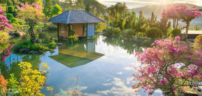 QUE Garden Đà Lạt: Thiên đường bonsai lá kim lớn nhất Việt Nam và hồ cá Koi tuyệt đẹp.