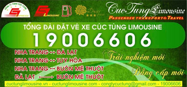 Xe Cúc Tùng