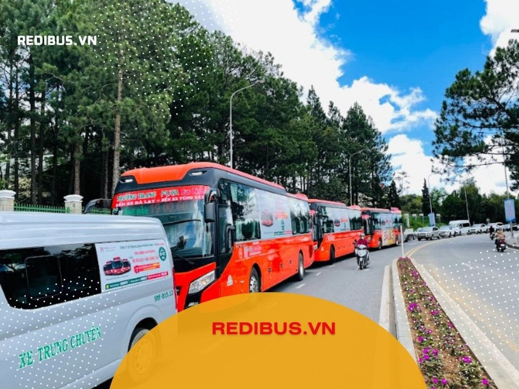 Xe khách Phương Trang màu cam nổi bật tại Đà Nẵng – số điện thoại liên hệ