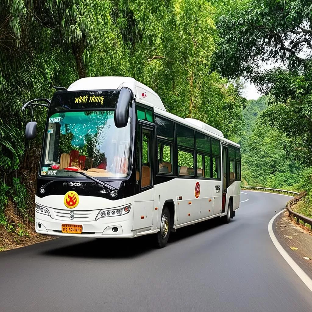 Xe Phương Trang Cần Thơ đi Đà Lạt