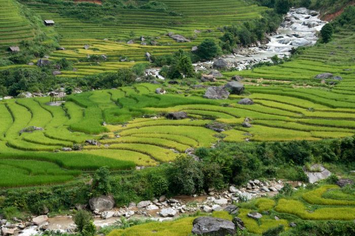Bản Sín Chải Sapa, địa điểm du lịch Sapa với cộng đồng người Mông