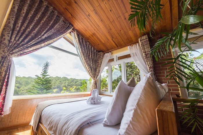 Zen Valley Dalat, khách sạn trong rừng ở Đà Lạt với vẻ đẹp Pháp cổ điển